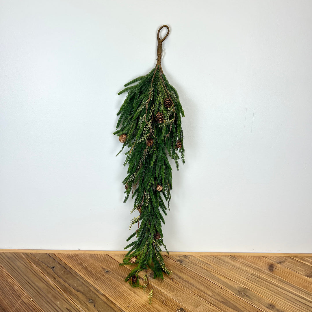 Norfolk Pine with Branch Collection