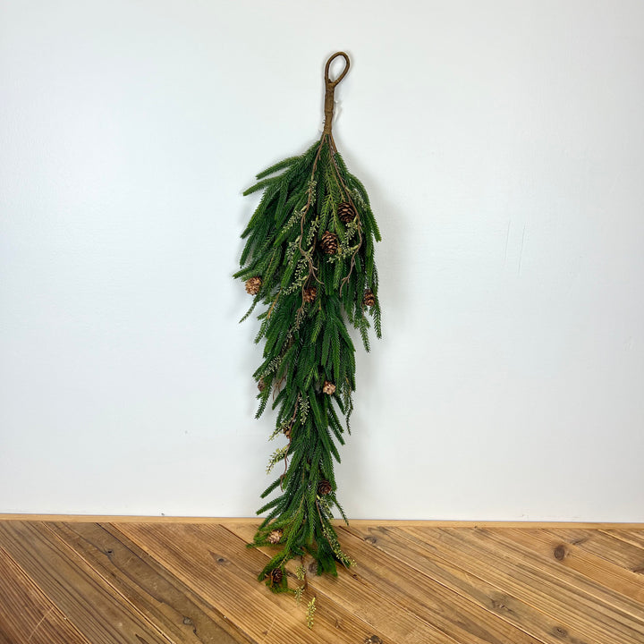 Norfolk Pine with Branch Collection