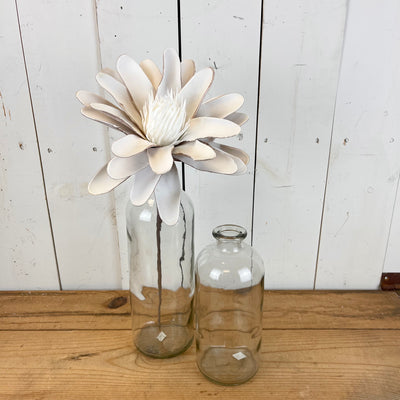 Foam Botanica Stem