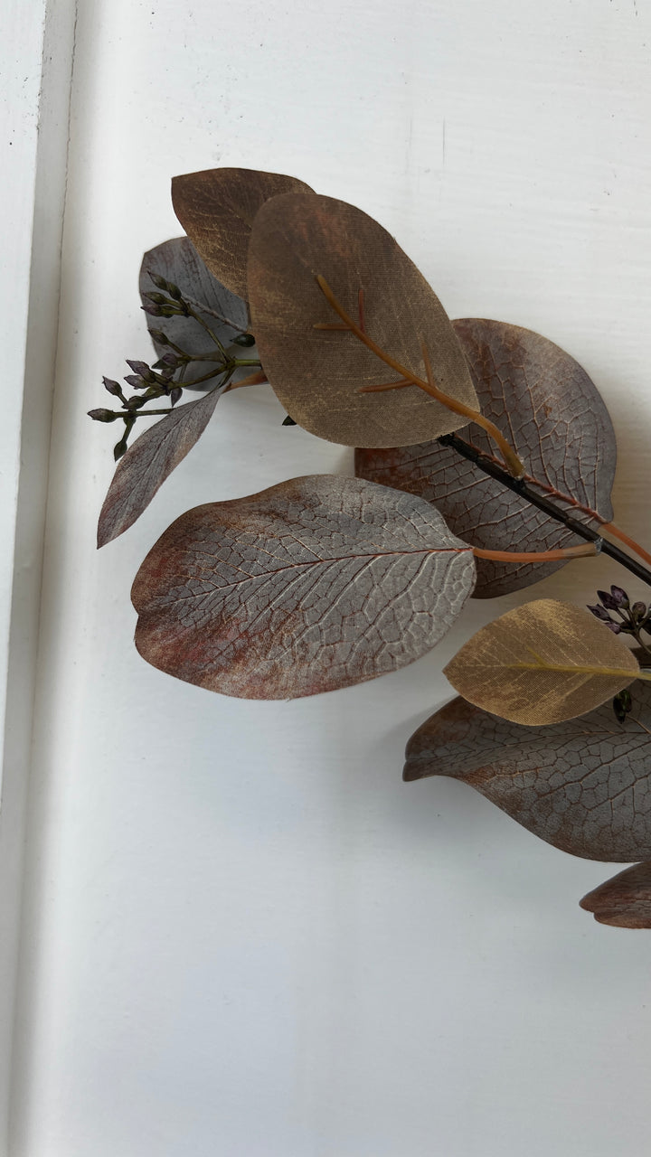 Warm Brown Eucalyptus Branch