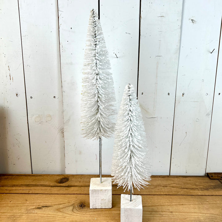 White Bottle Brush Trees
