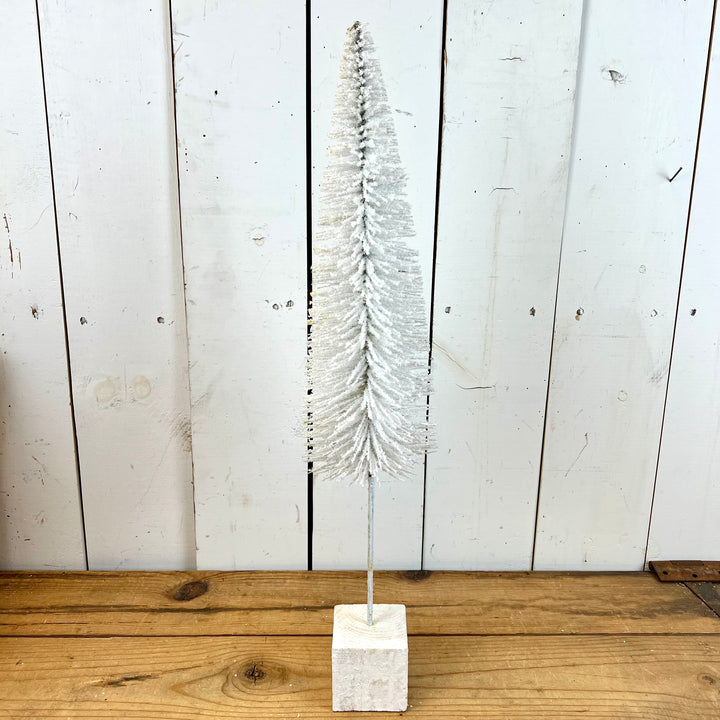 White Bottle Brush Trees