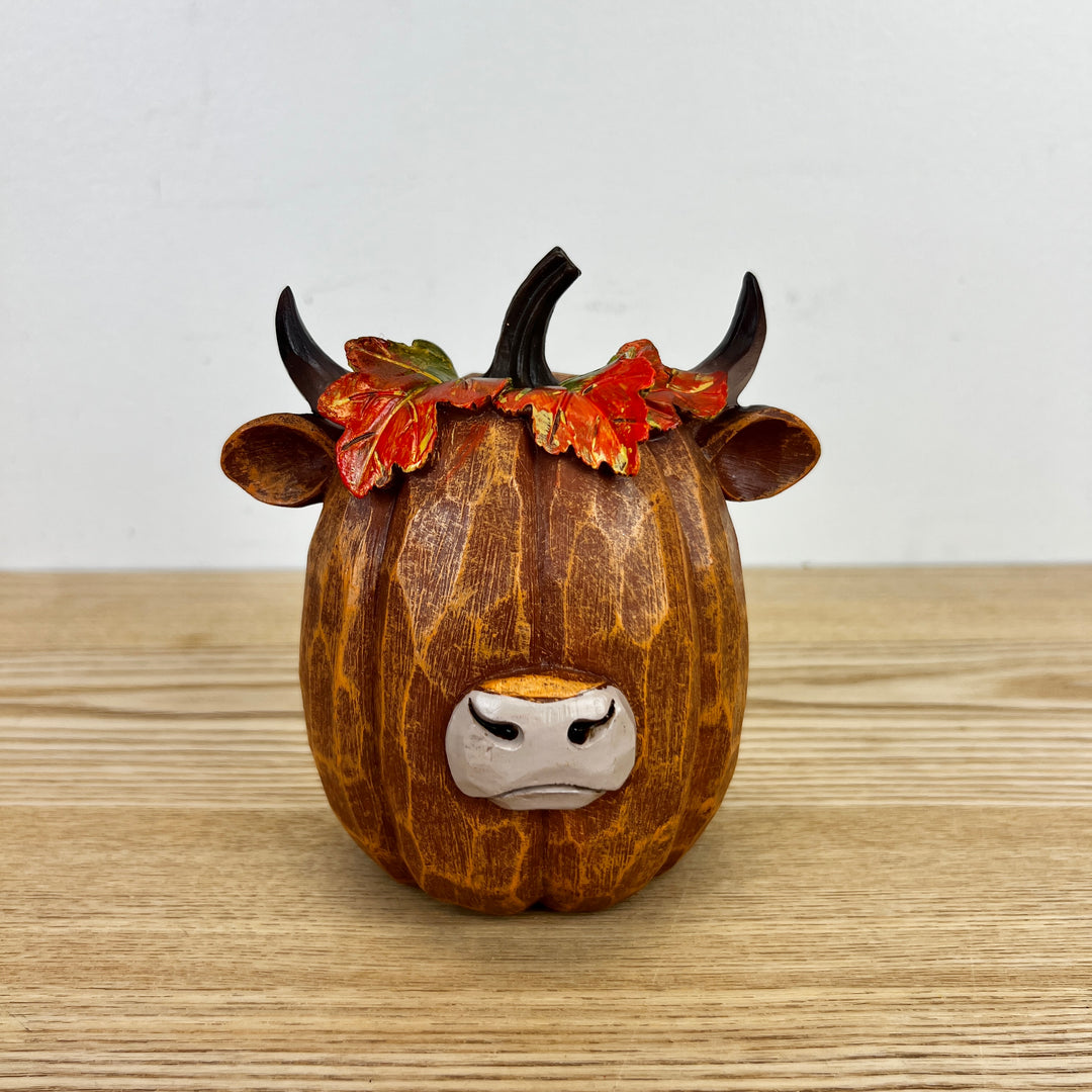 Harvest Highland Pumpkins