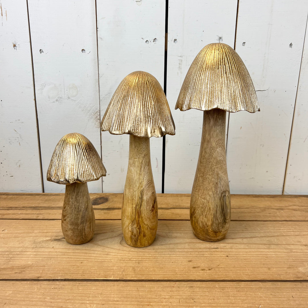 Gold Mushrooms