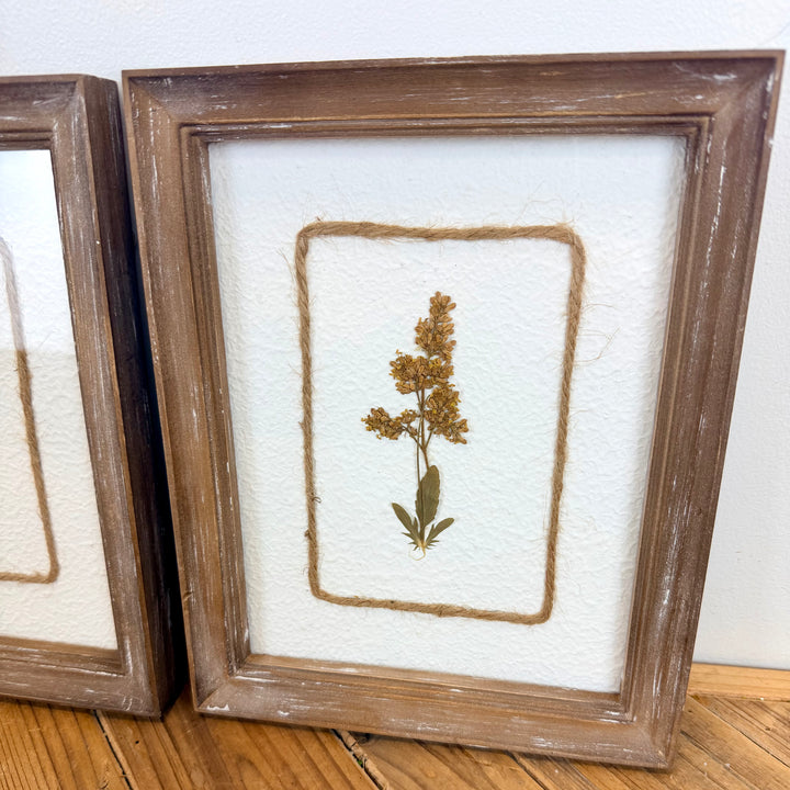 Botanical Flower Wall Art, 2 styles