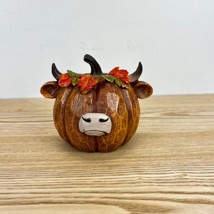 Harvest Highland Pumpkins