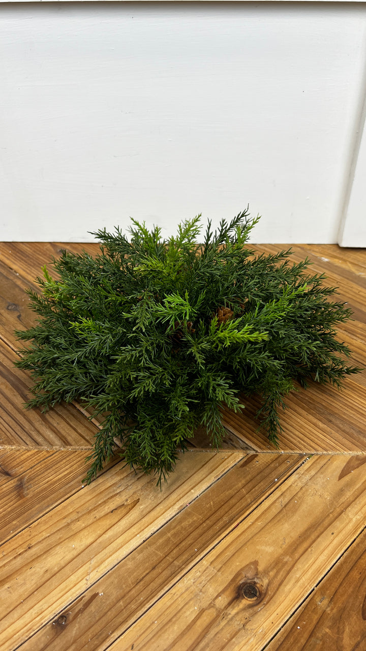 Arborvitae Half Orb