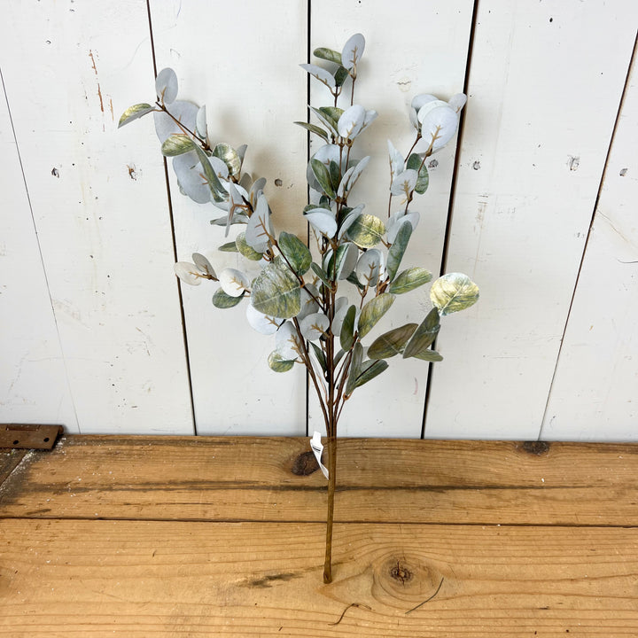 Sparkly Eucalyptus Collection