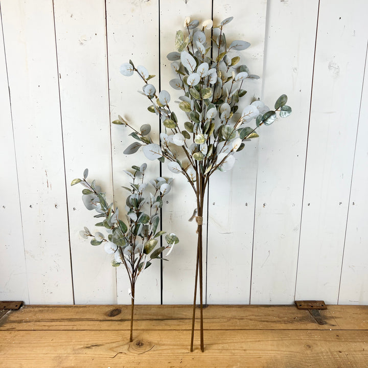Sparkly Eucalyptus Collection