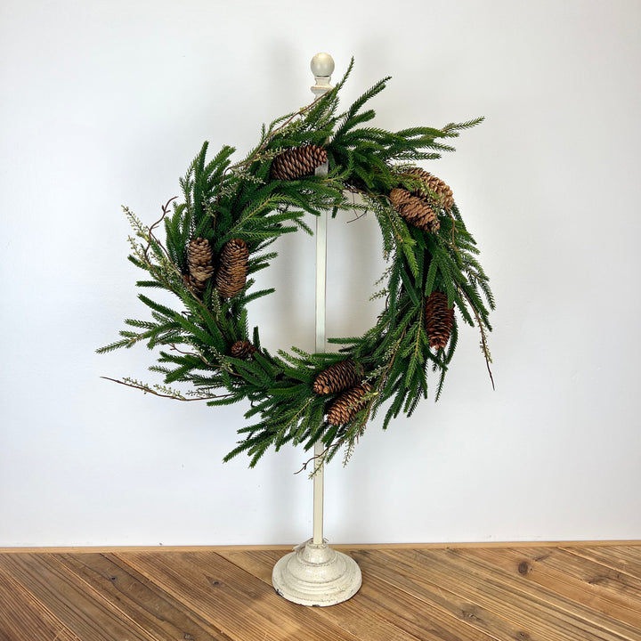 Norfolk Pine with Branch Collection