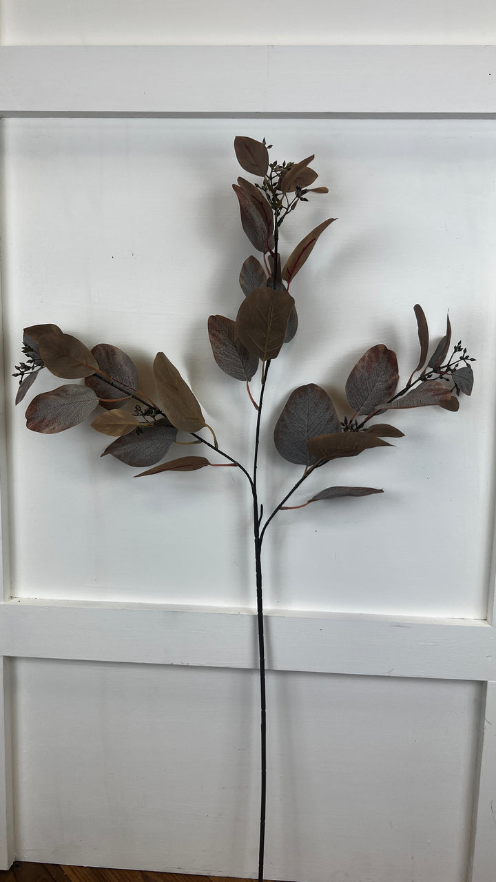 Warm Brown Eucalyptus Branch