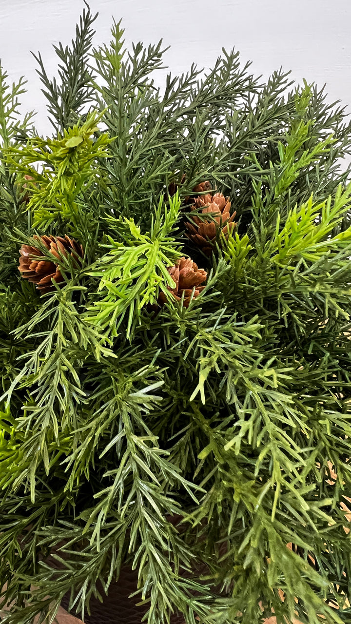 Arborvitae Half Orb
