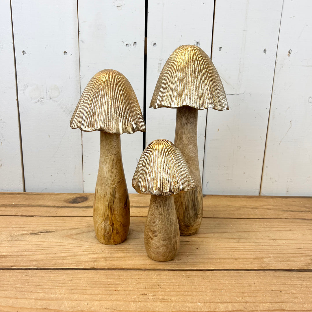 Gold Mushrooms