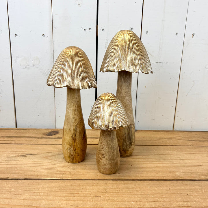Gold Mushrooms