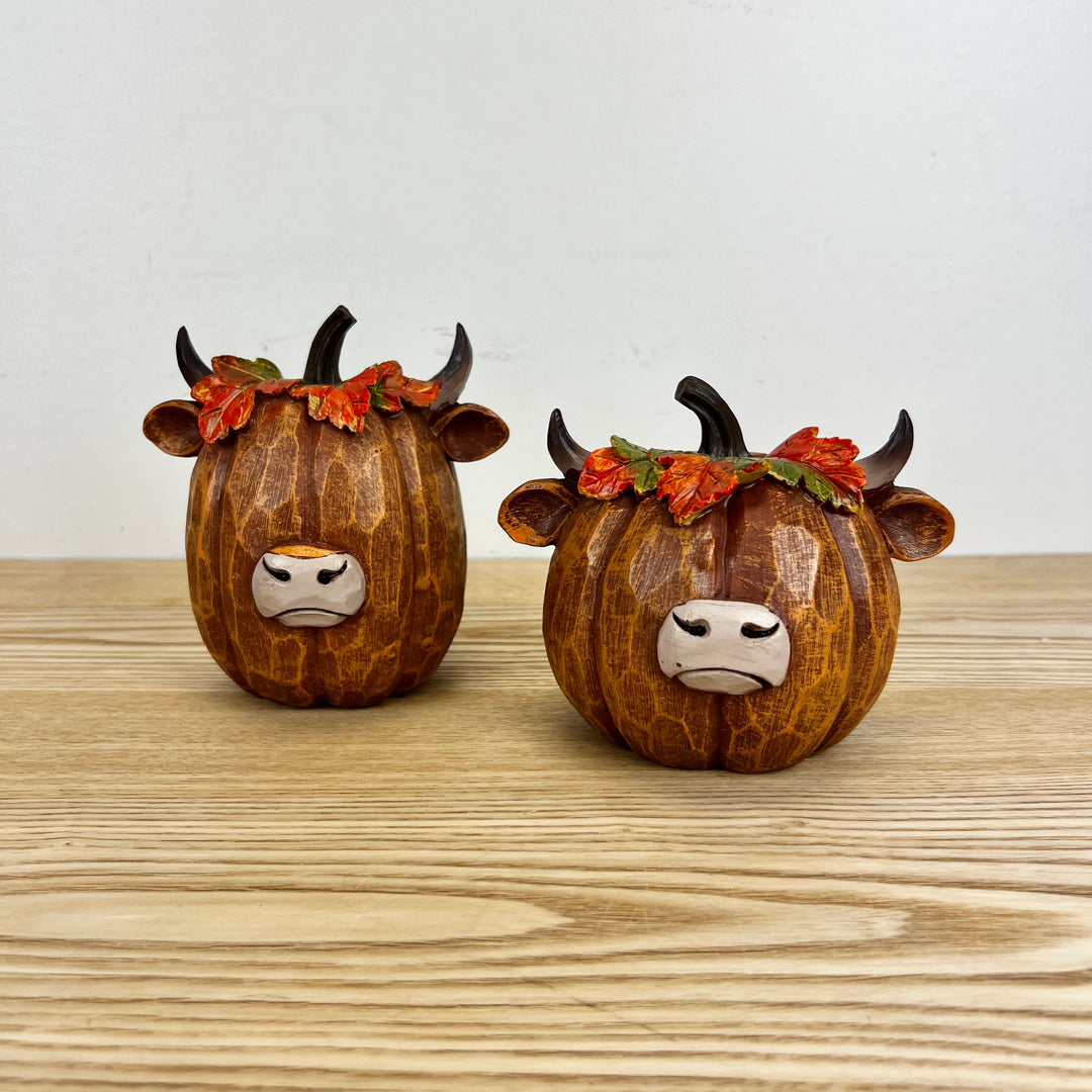 Harvest Highland Pumpkins