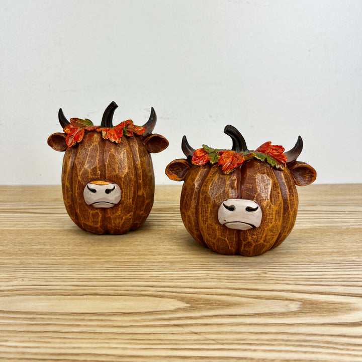 Harvest Highland Pumpkins