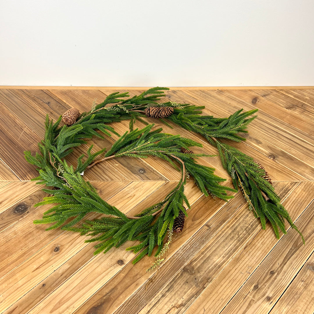 Norfolk Pine with Branch Collection