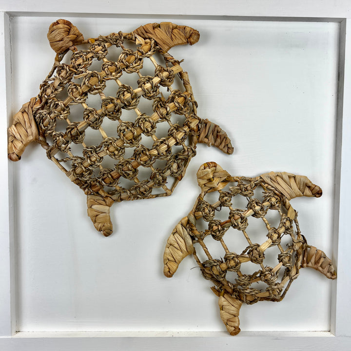 Swirling Sea Turtle Set