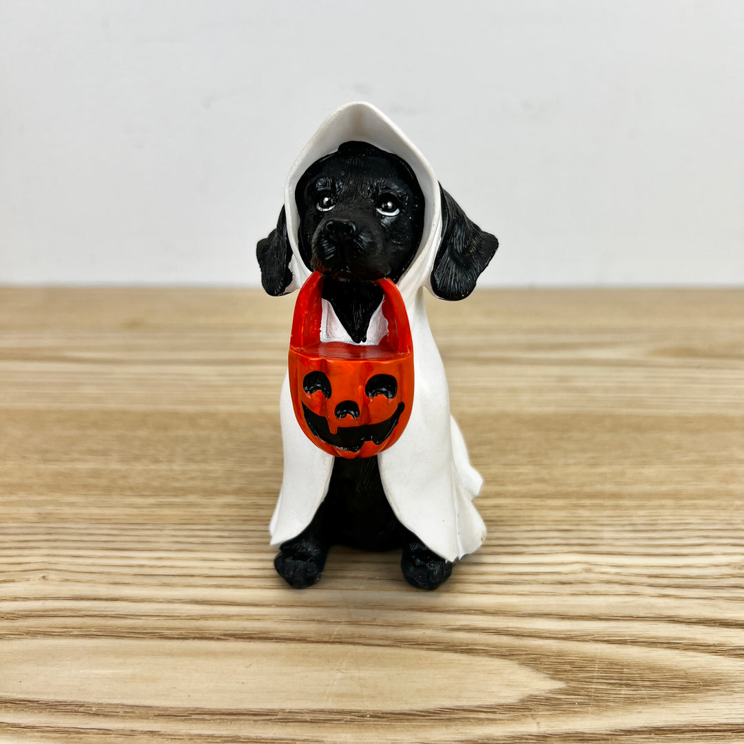 Halloween Dog