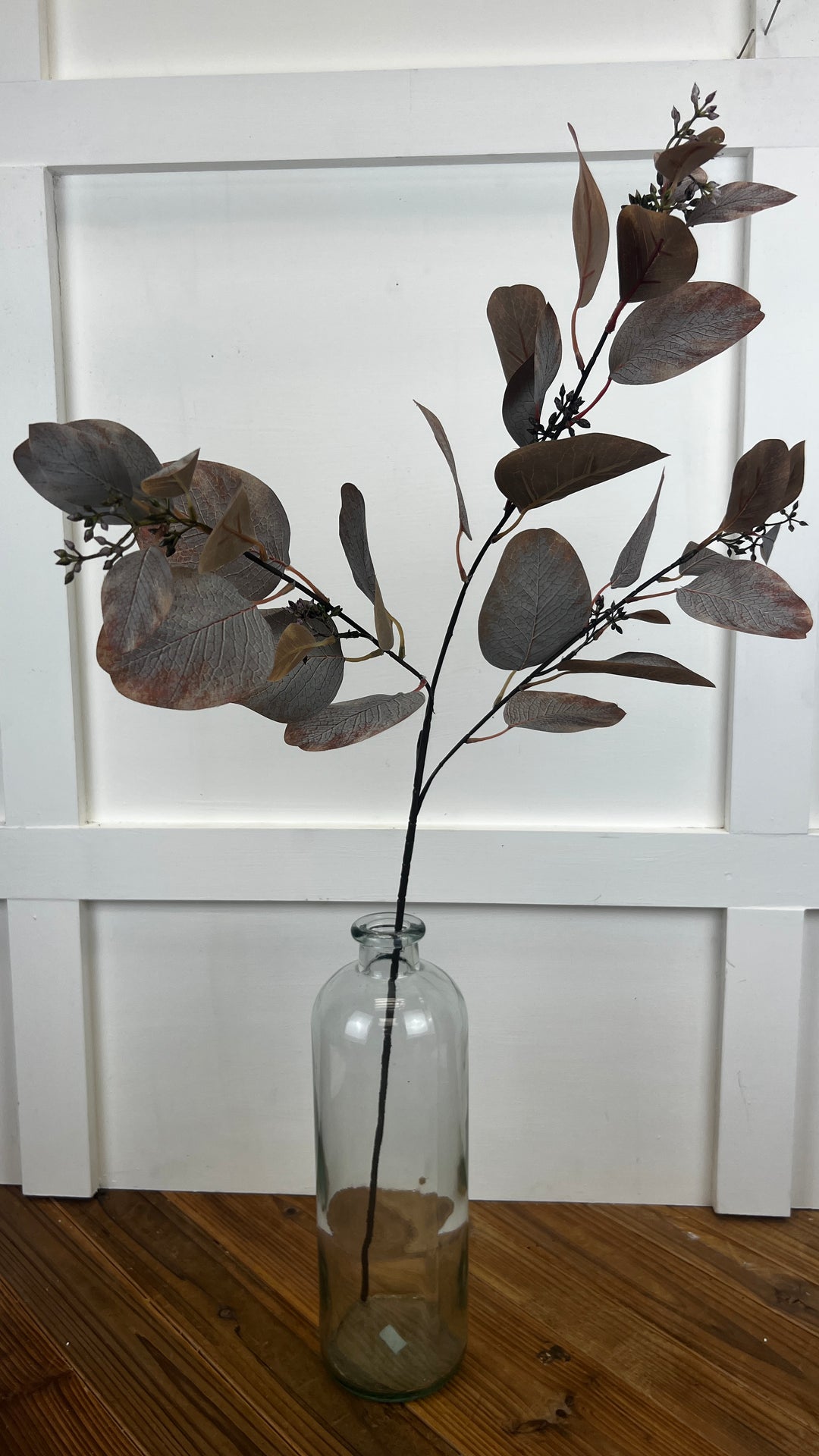 Warm Brown Eucalyptus Branch