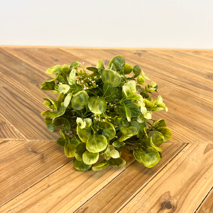 Eucalyptus and Mint Greenery Collection