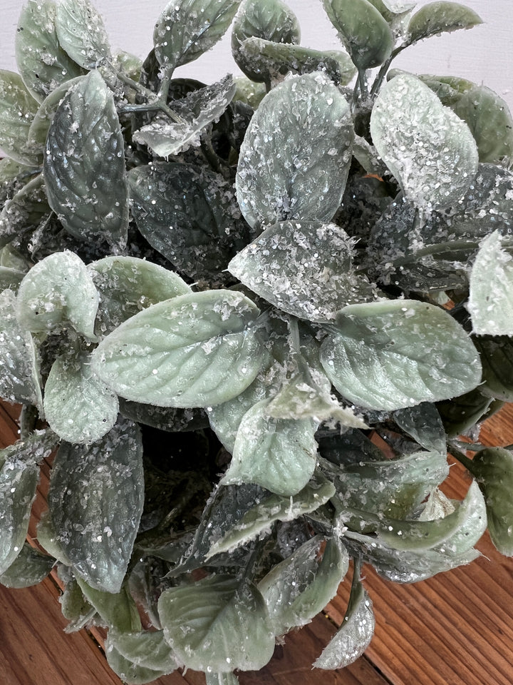 Icy Winter Half Orb