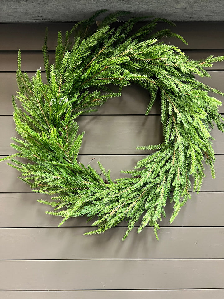 Real Feel Norfolk Pine Collection