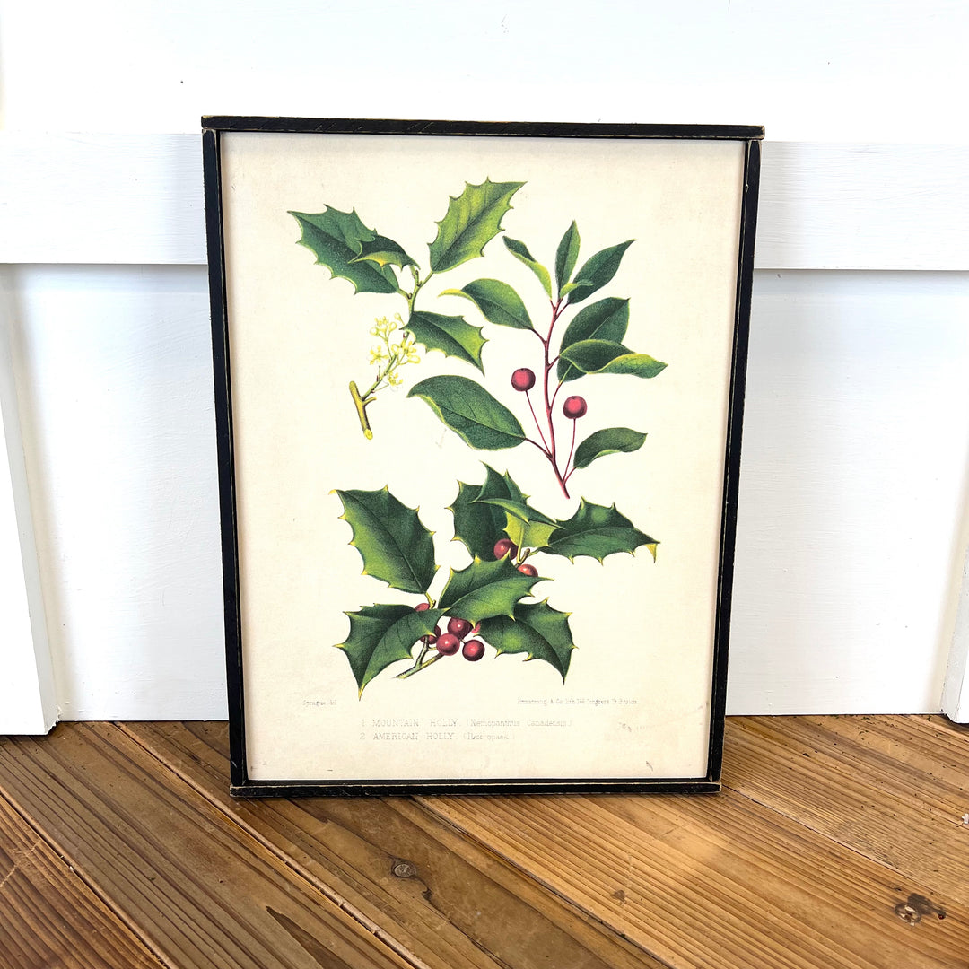Holiday Vintage Prints
