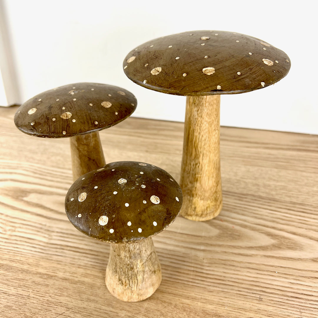 Flat Top Brown Brown Polka Dot Mushrooms, 3 sizes available