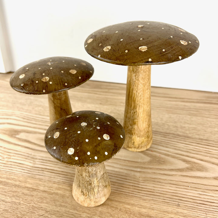 Flat Top Brown Brown Polka Dot Mushrooms, 3 sizes available