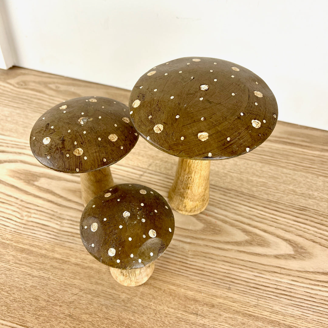Flat Top Brown Brown Polka Dot Mushrooms, 3 sizes available