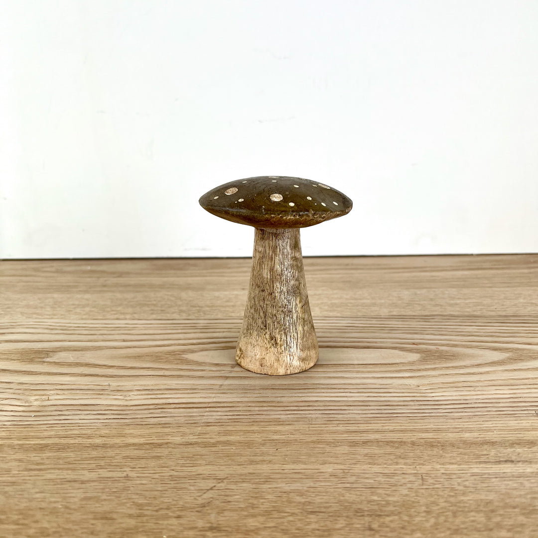 Flat Top Brown Brown Polka Dot Mushrooms, 3 sizes available