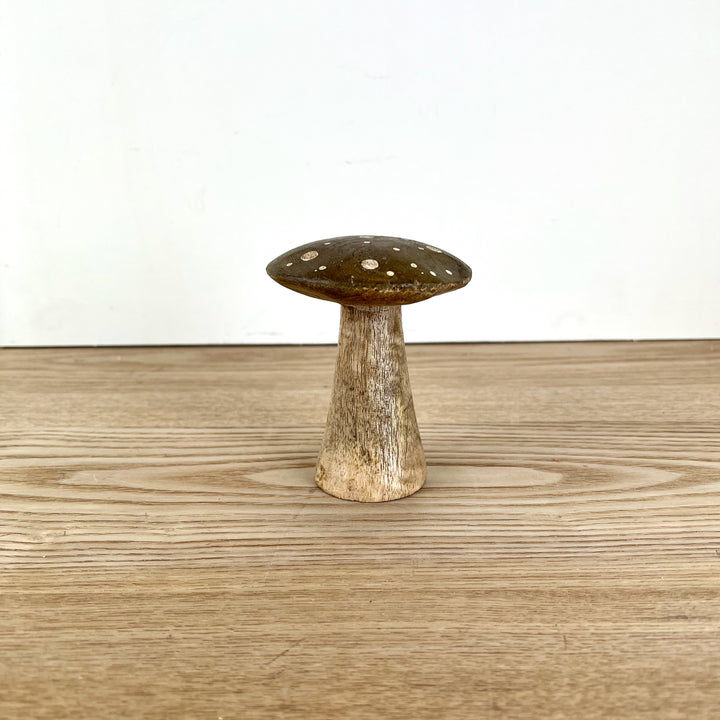 Flat Top Brown Brown Polka Dot Mushrooms, 3 sizes available