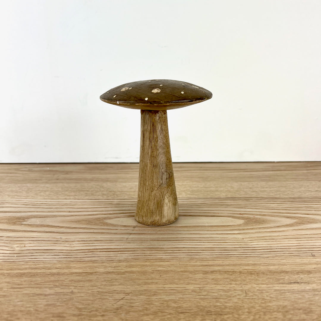 Flat Top Brown Brown Polka Dot Mushrooms, 3 sizes available