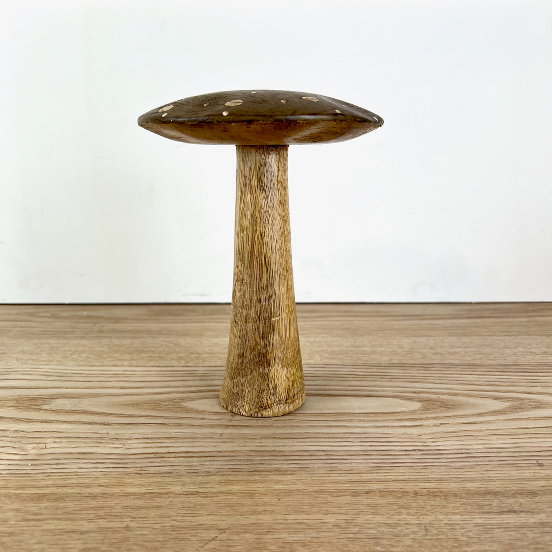Flat Top Brown Brown Polka Dot Mushrooms, 3 sizes available
