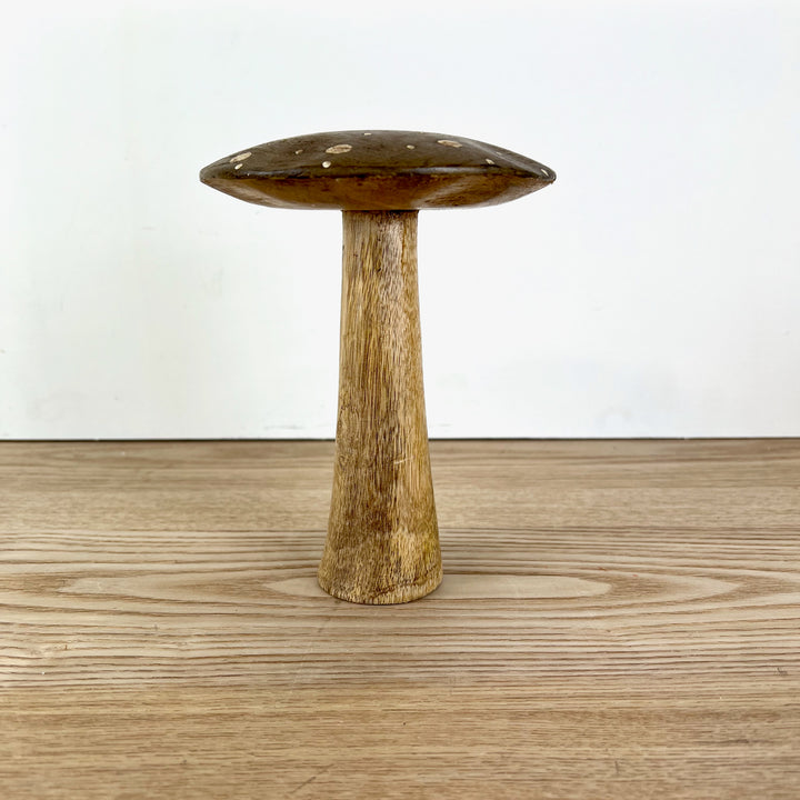 Flat Top Brown Brown Polka Dot Mushrooms, 3 sizes available