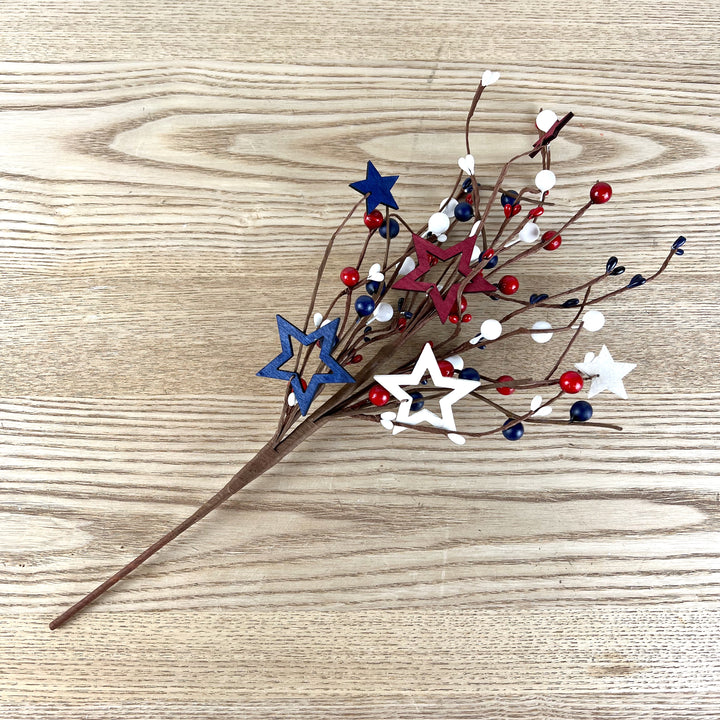 4th of July Stem