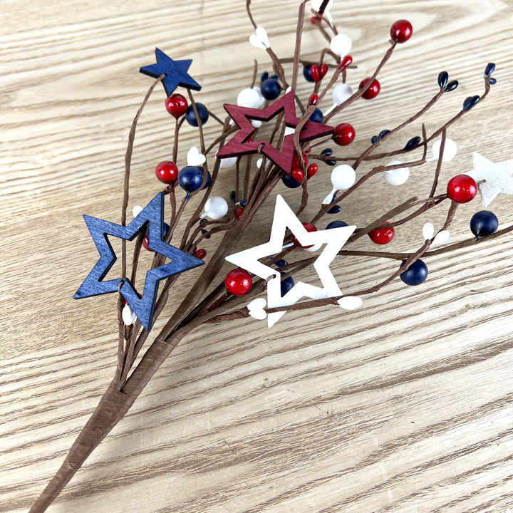 4th of July Stem