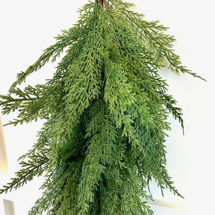 Cedar Collection