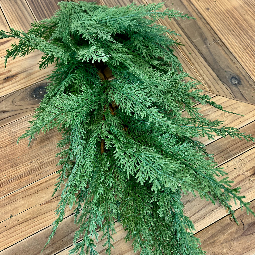 Cedar Collection
