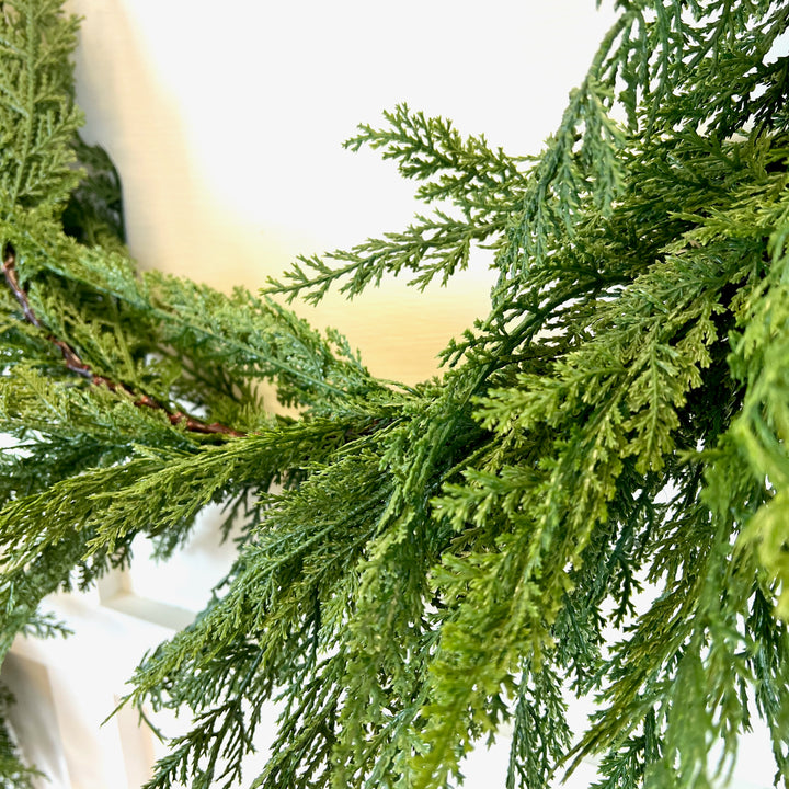 Cedar Collection