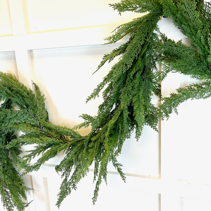 Cedar Collection