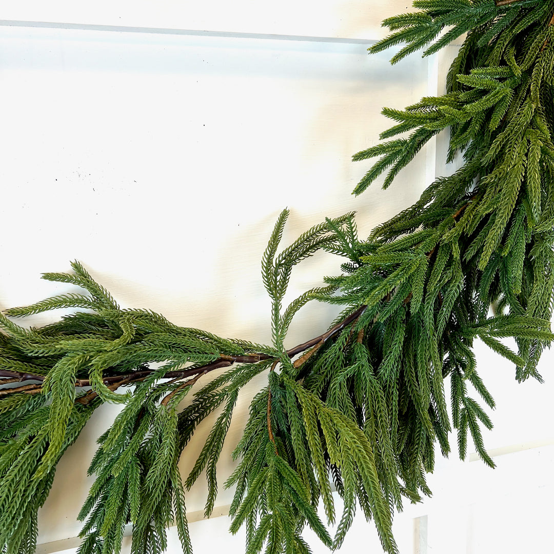 Deluxe Norfolk Pine Garland
