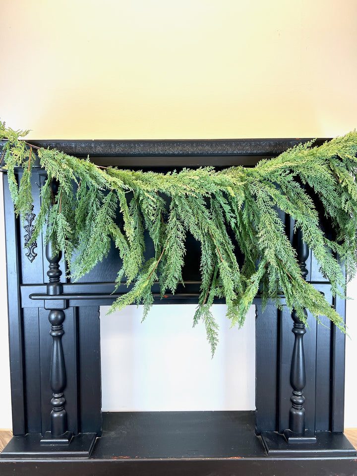 Cedar Collection
