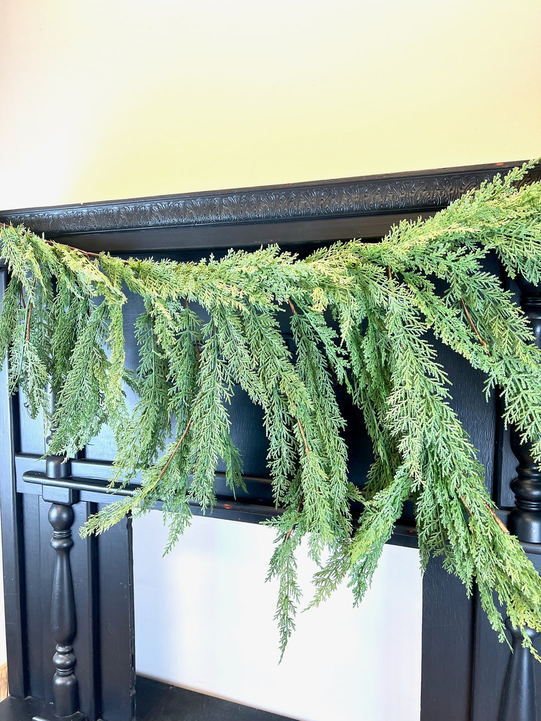Cedar Collection