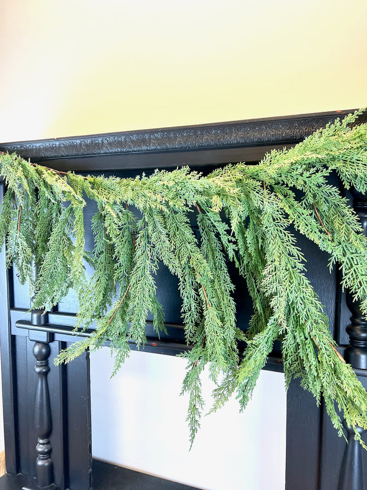 Cedar Collection