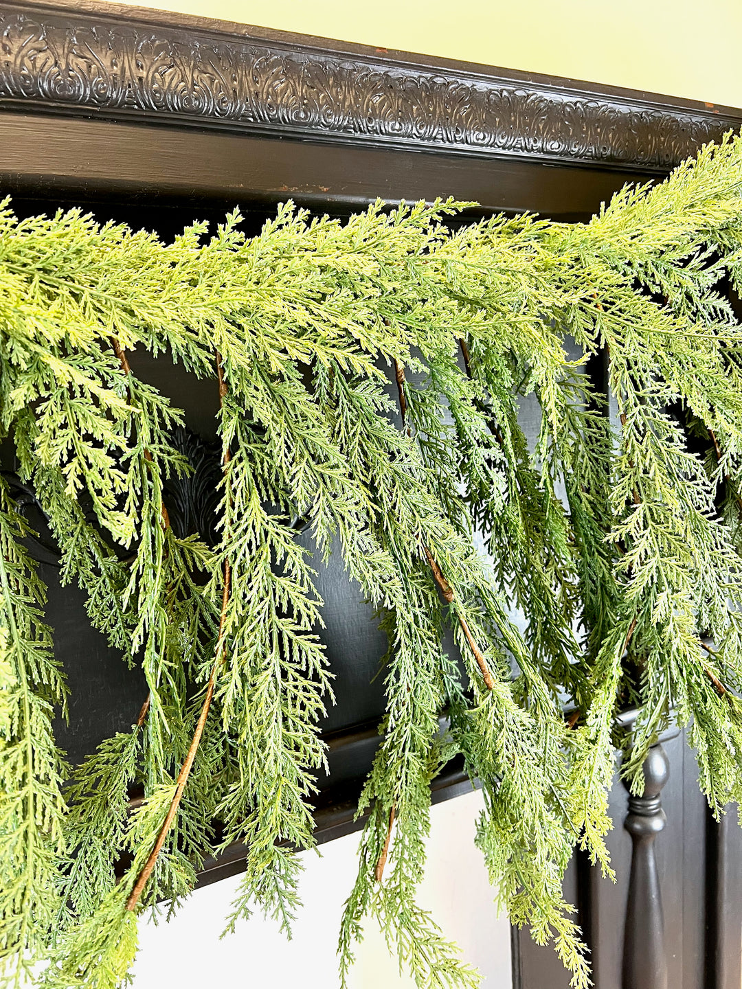 Cedar Collection
