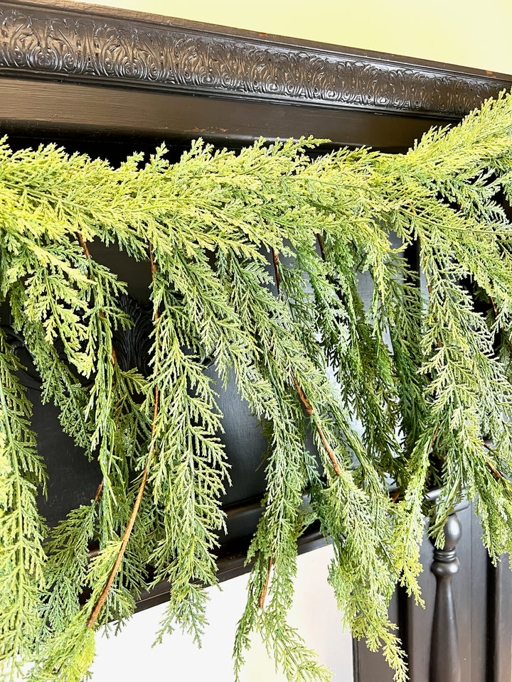Cedar Collection