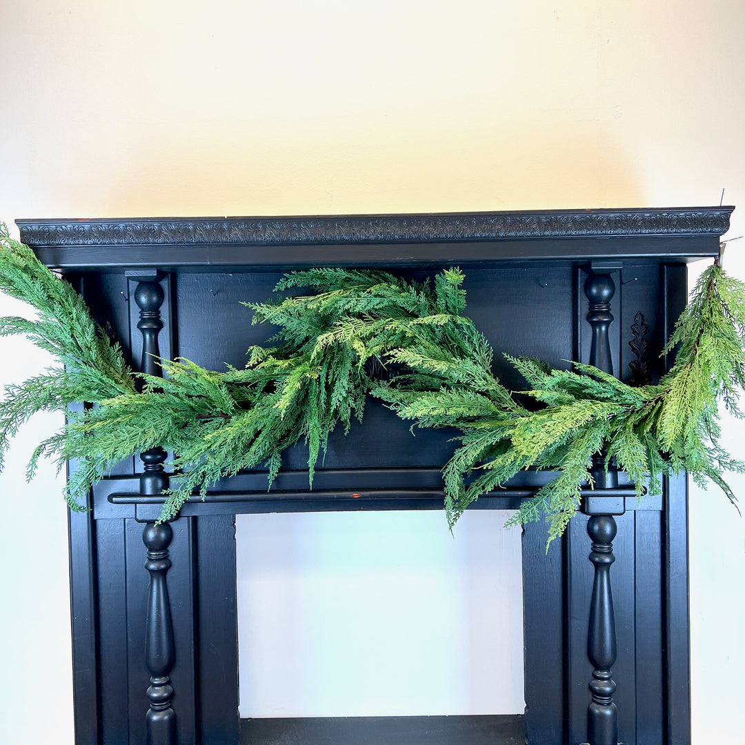 Cedar Collection