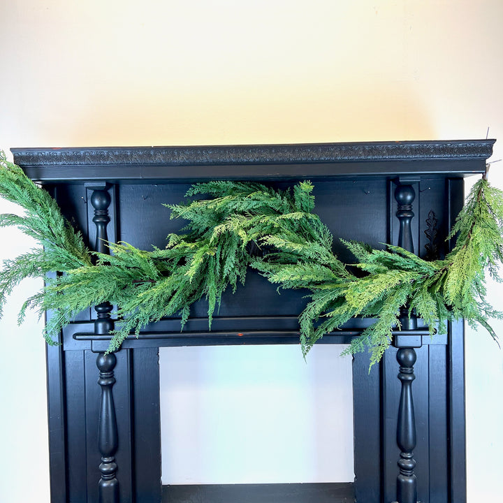 Cedar Collection